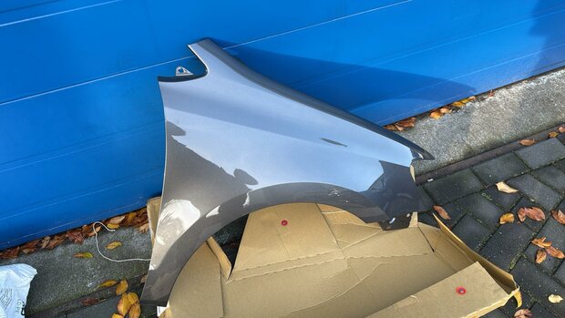 Polo 6C Spatscherm Scherm Rechts LD7R