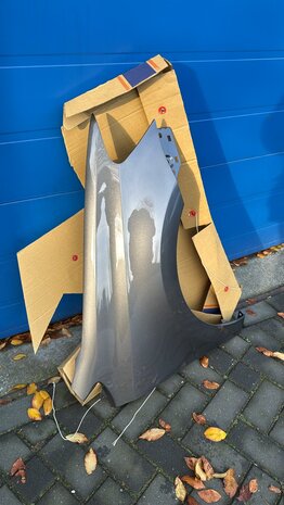 Polo 6C Spatscherm Scherm Rechts LD7R