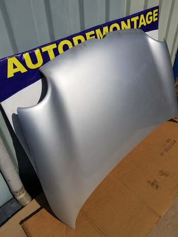 Lupo Motorkap zilver grijs