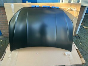 Taigo Motorkap Origineel 2G7823031B