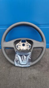 Stuurwiel Stuur Seat biza 5F F0419091 LKA
